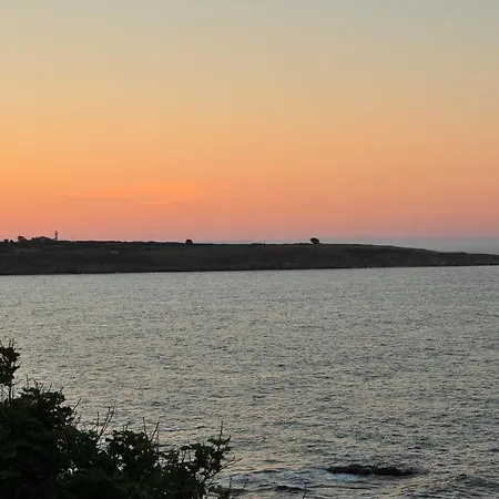 Deep Blue 2* 소조폴