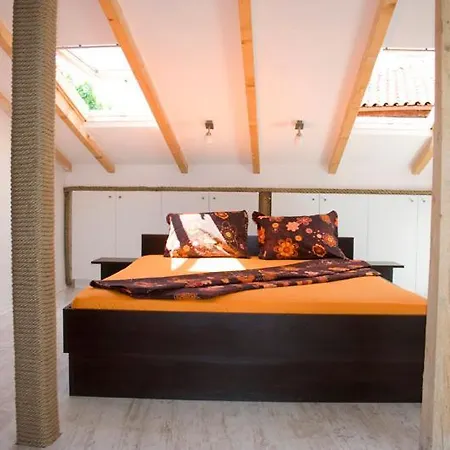 招待所 Deep Blue 索佐波尔