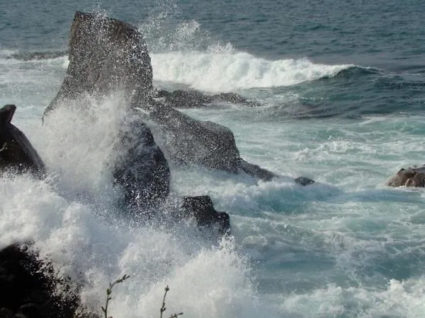 Deep Blue Gæstehus 2*