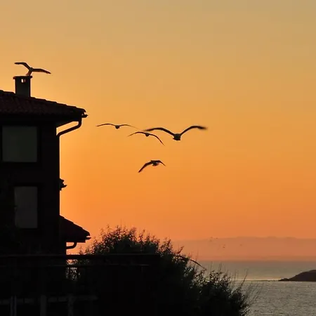 Maison d'hôtes Deep Blue Sozopol