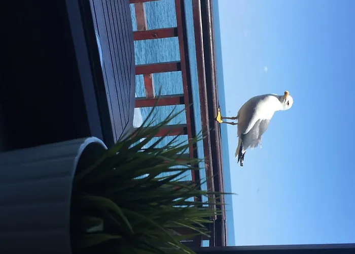 Deep Blue Созополь